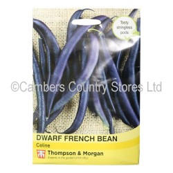Thompson & Morgan Dwarf/French Bean Celine